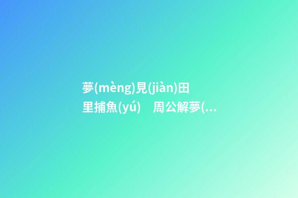 夢(mèng)見(jiàn)田里捕魚(yú)　周公解夢(mèng)之夢(mèng)到田里捕魚(yú)